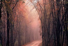 壹号娱乐：手球——全运会测试赛：江苏胜广东2.