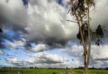 马竞球迷会发言人：要求获得小蜘蛛点球违例判罚的视频音频.