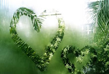 壹号娱乐：图赫尔：斯凯利的表现实至名归；我对贝林厄姆寄予厚望.