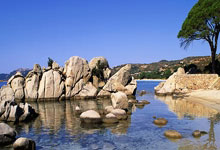 泰国羽毛球大师赛：我国男将郑加恒晋级大决赛.